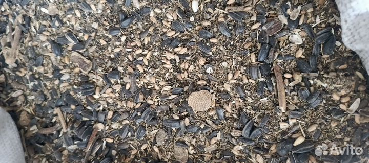 Зерноотходы подсолнечника в мешках по 20 кг