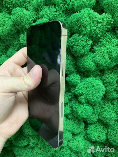 iPhone 13 Pro Max, 256 ГБ