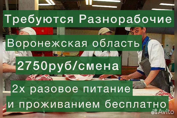 Вахта разнорабочий с проживанием и питанием