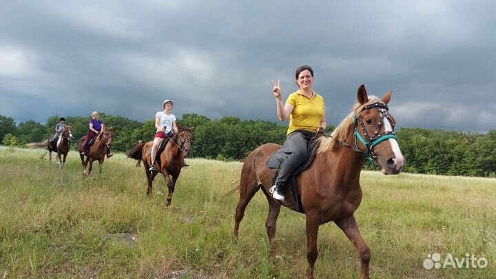 Конные прогулки г Новороссийск ст Натухаевскся