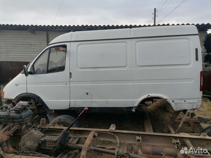 Газель соболь