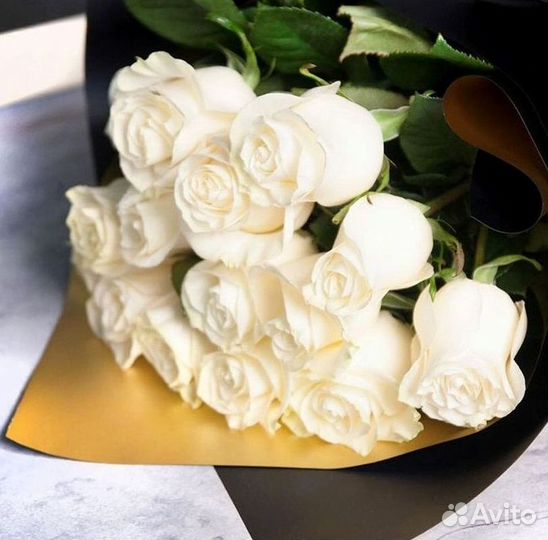 Высокие Розы Гиганты Доставка Круглосуточно