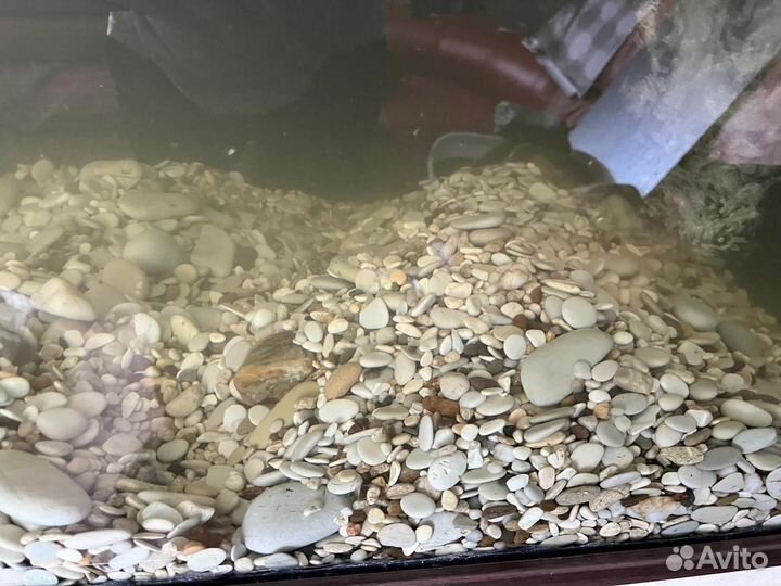 Грунт для аквариума галька