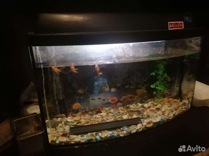 Аквариум