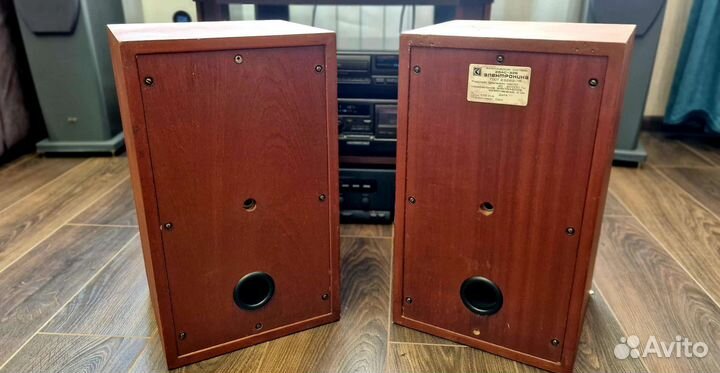 Акустические колонки Электроника 25ас-326