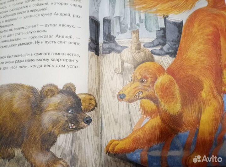 Рассказы о животных