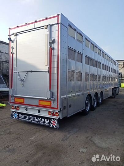 Полуприцеп для перевозки скота Балтспецмаш Скотовоз, 2022