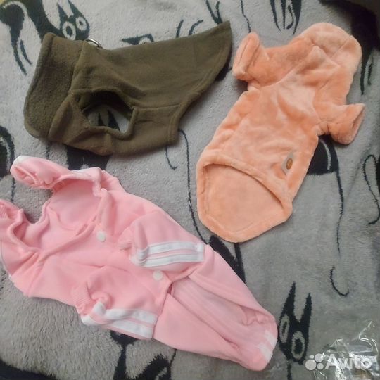 Новая одежда для маленькой собаки xs s