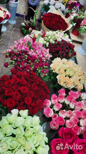 Розы оптом и розницу