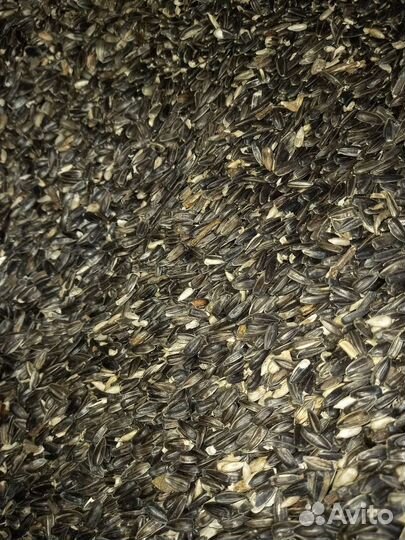 Отходы семечки