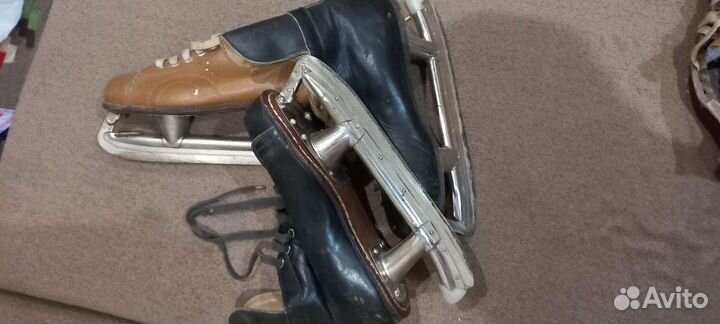 Спорт коньки