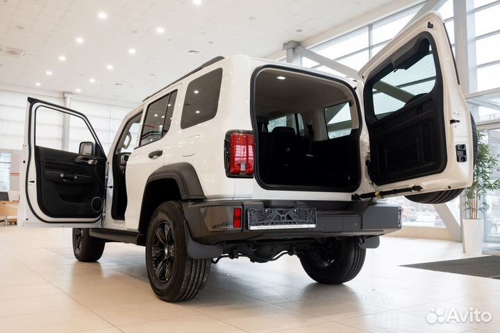 Tank 300 2.0 AT, 2024