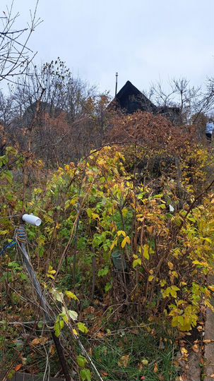 Участок 5 сот. (СНТ, ДНП)