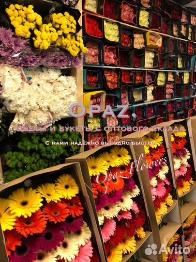 101 роза Букет Цветы Доставка