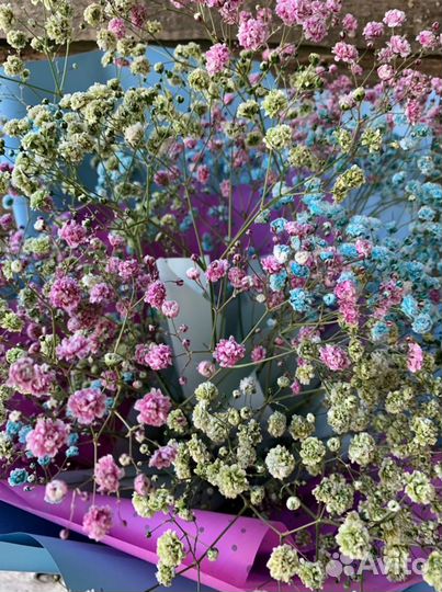 Гипсофила цветная. Доставка букетов Вологда