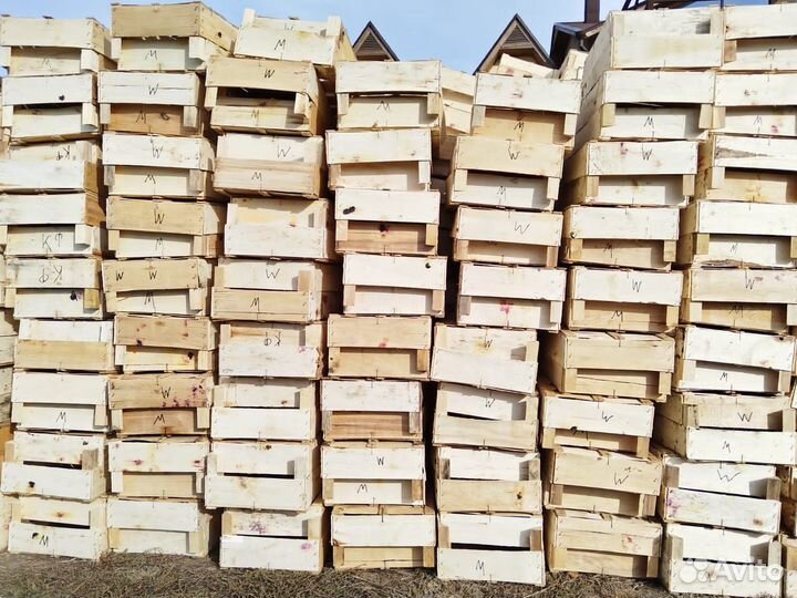 Ящик для ягод, фруктов или овощей деревянный