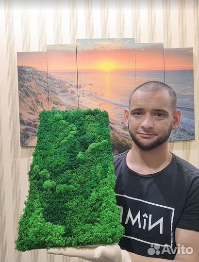 Вечно зеленые яркие эко панели 25х50см из мха