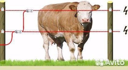 Электропастух для коров, телят, свиней, кроликов