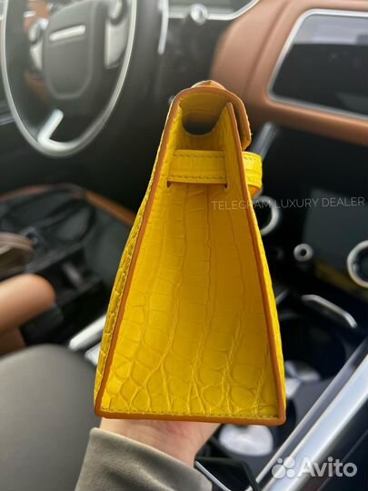 Сумка Hermes Kelly Pochette 22 крокодил alligator