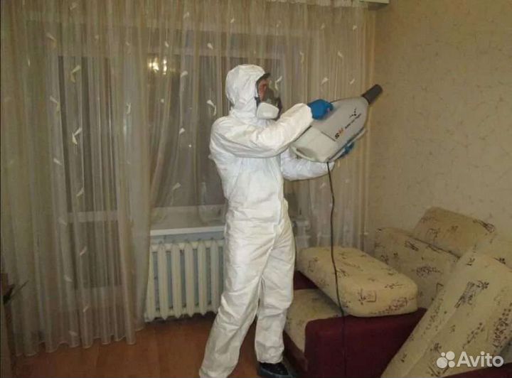 Уничтожение Тараканов Клопов Блох Ос Муравьев Клещ