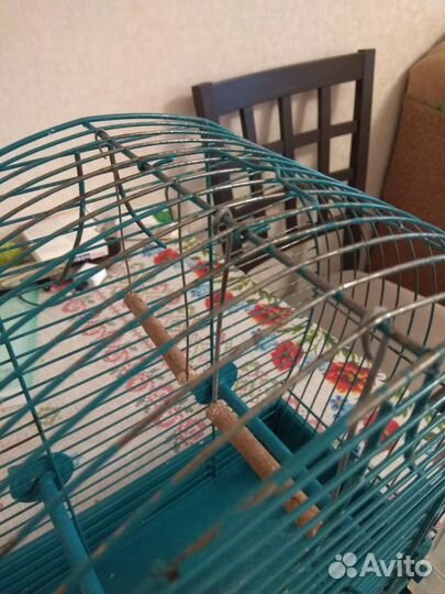 Клетка для птиц