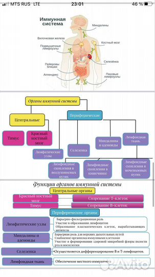 Курсовые работы на заказ (медицина)
