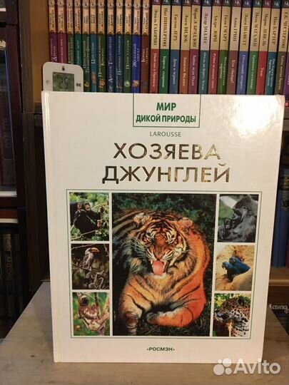 Книги рвзные 5