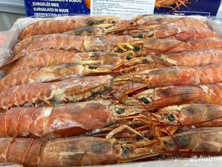 Лангустины L1 крупный. Охлажденные