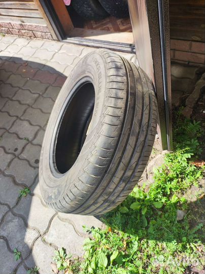 Nokian Tyres Hakka Blue 2.25/4.5 R16
