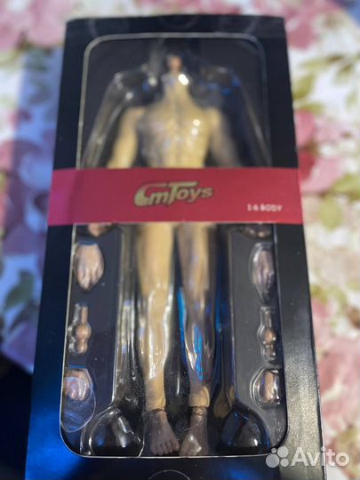 Тело 1/6 мужское для Phizen, BJD