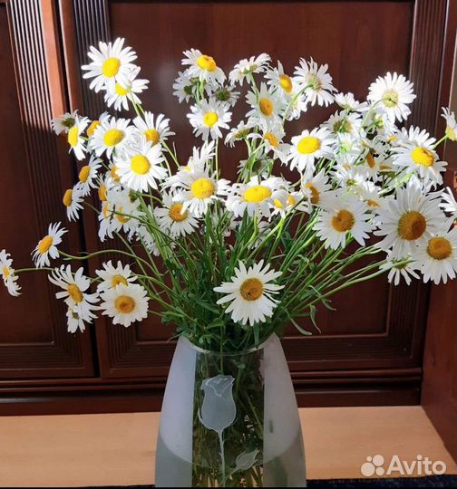Букет ромашек
