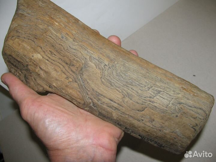 Окаменелое дерево (в коллекцию)