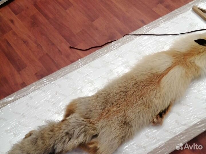 Шкурка рыжей лисы