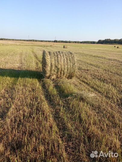 Сено рулоны