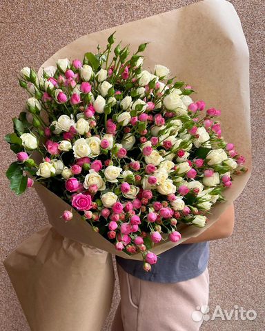 Роза кустовая