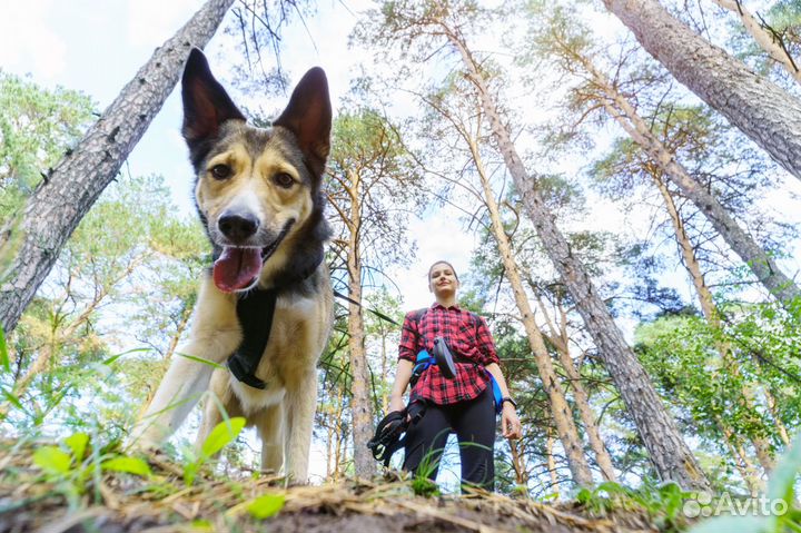 Широкоугольный объектив Kaxinda 14 mm f 3.5 Sony E