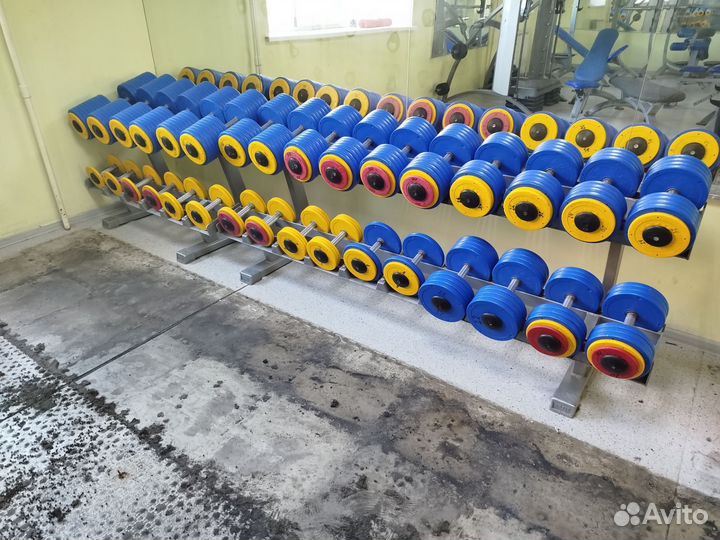 Гантельный ряд, гантели