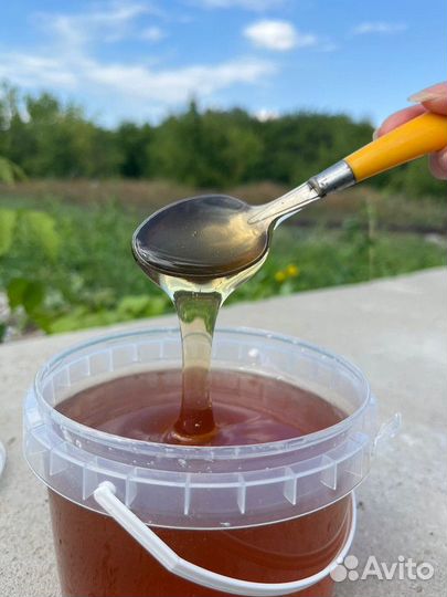 Мёд цветочный