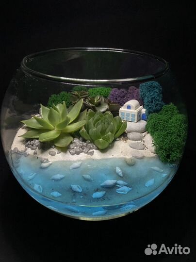Флорариум с морем
