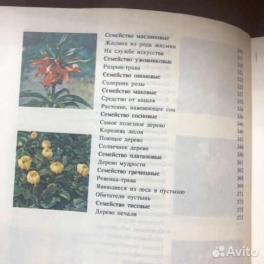 Редкие и исчезающие растения. 1989 г. Артамонов