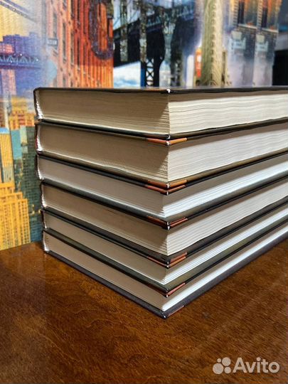 Коты воители 2 цикл отличный