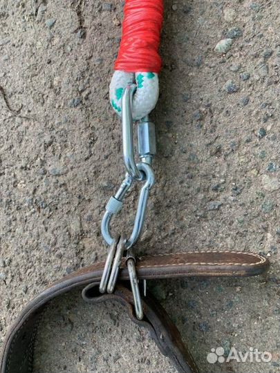 Поводок для крупных собак