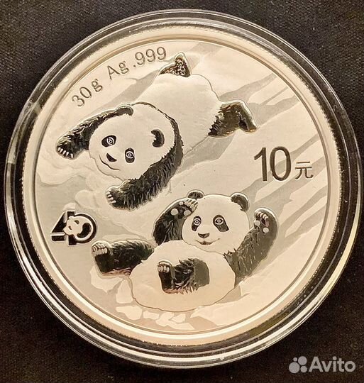 10 юаней Панда 2022 серебро