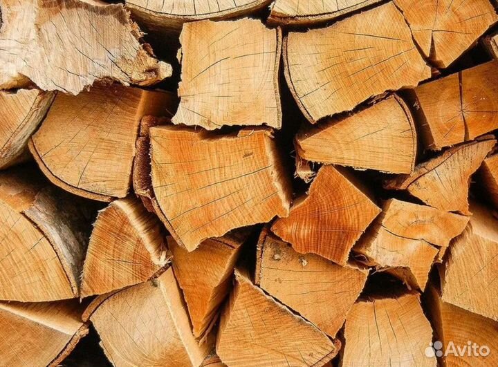 Дрова береза