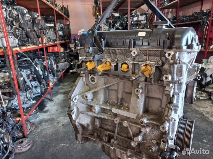 Двигатель qqdb 1.8 Ford Focus 2, C-Max