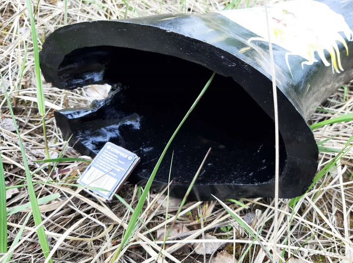 Диджериду из ольхи