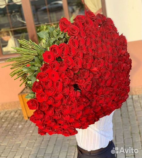 Розы гиганты 140 150 160 170 180 200