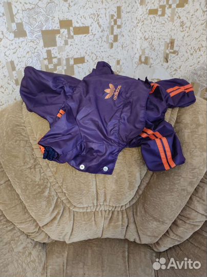 Одежда для собак мелких пород