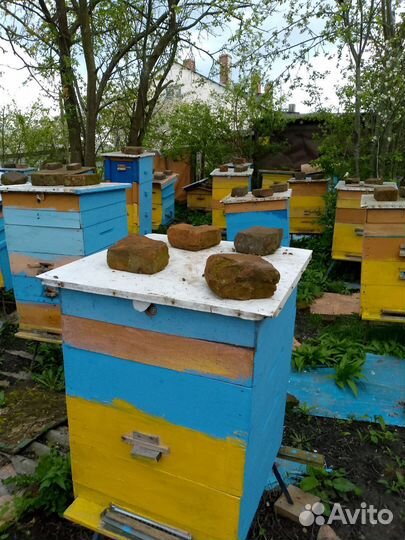 Ульи для пчел