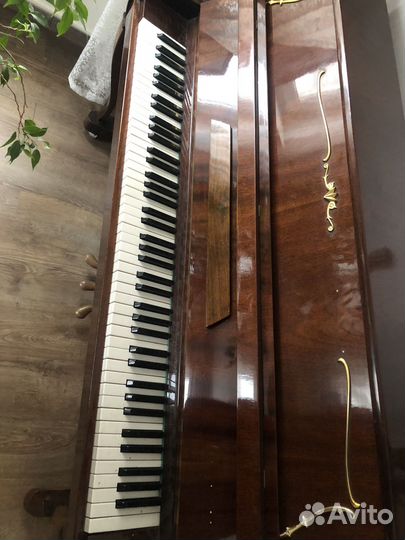 Неизвестно